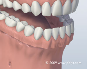 Denture Icon